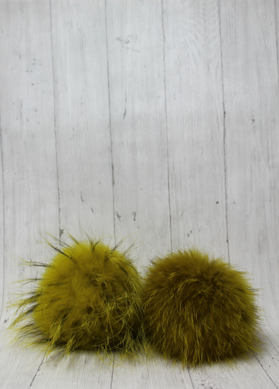 Енот желтый