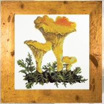 Набор для вышивания бисером Лисички